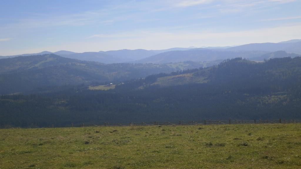 Domek Nad Lasem Конякув Номер фото