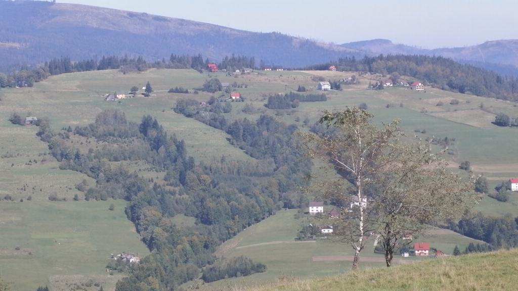 Domek Nad Lasem Конякув Экстерьер фото